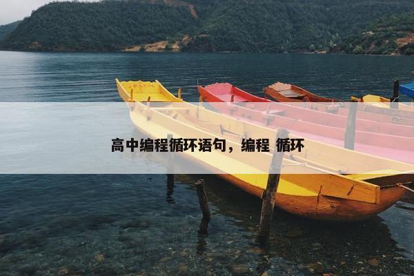 高中编程循环语句，编程 循环