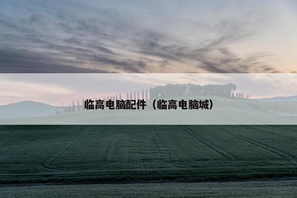 临高电脑配件（临高电脑城）