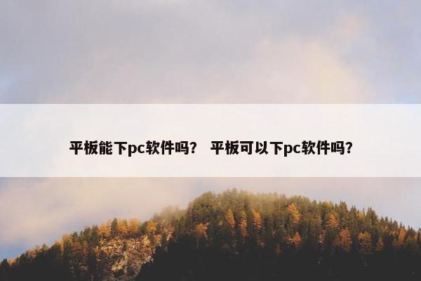平板能下pc软件吗？ 平板可以下pc软件吗？