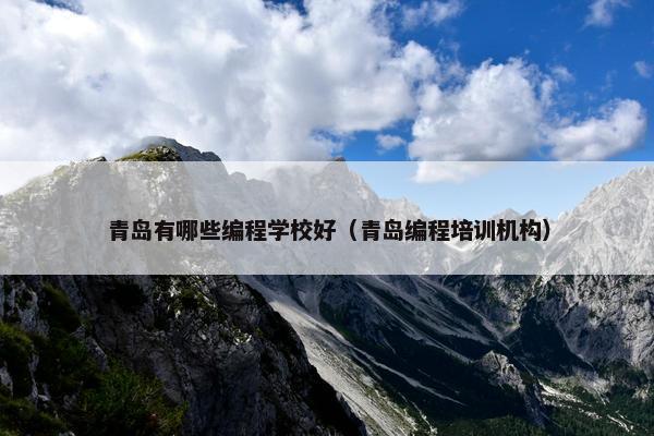 青岛有哪些编程学校好（青岛编程培训机构）