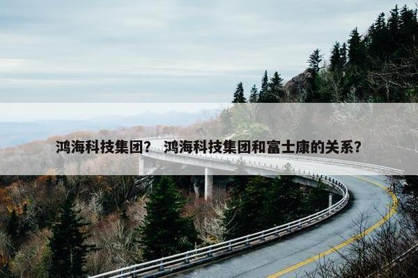 鸿海科技集团？ 鸿海科技集团和富士康的关系？