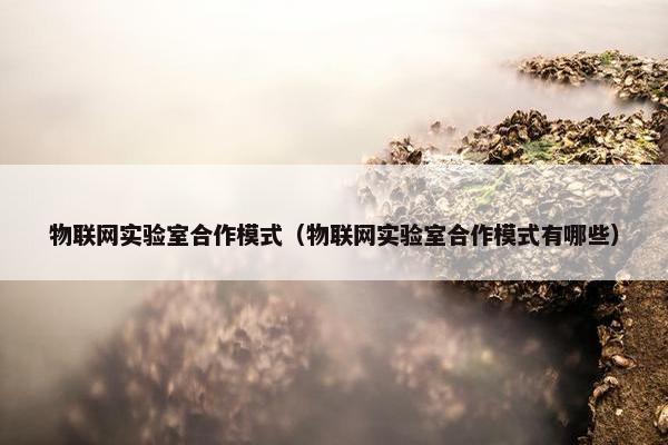物联网实验室合作模式（物联网实验室合作模式有哪些）