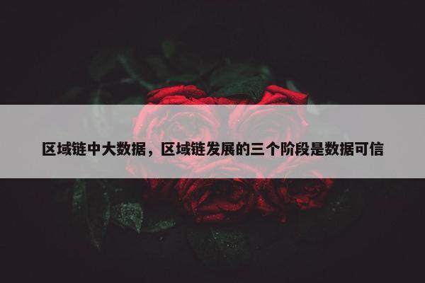 区域链中大数据，区域链发展的三个阶段是数据可信