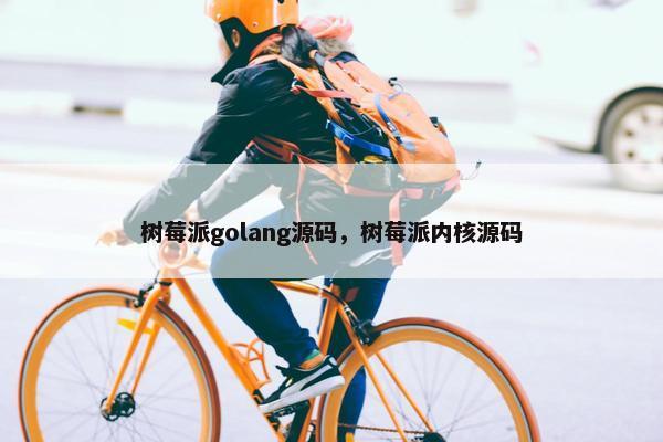 树莓派golang源码，树莓派内核源码