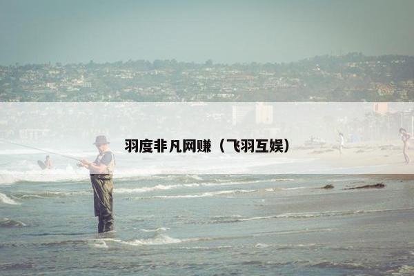 羽度非凡网赚（飞羽互娱）