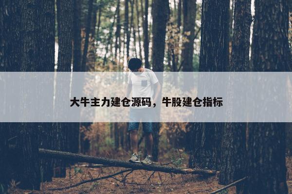 大牛主力建仓源码，牛股建仓指标
