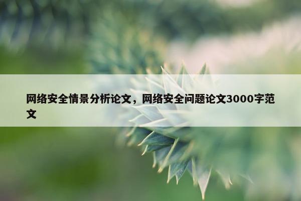 网络安全情景分析论文，网络安全问题论文3000字范文