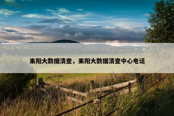 耒阳大数据清查，耒阳大数据清查中心电话