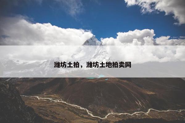 潍坊土拍，潍坊土地拍卖网