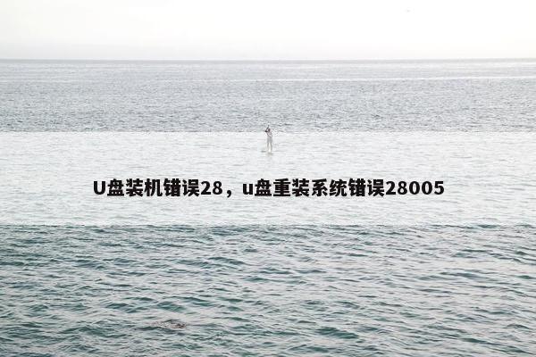 U盘装机错误28，u盘重装系统错误28005