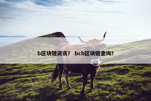 b区块链资讯？ bch区块链查询？