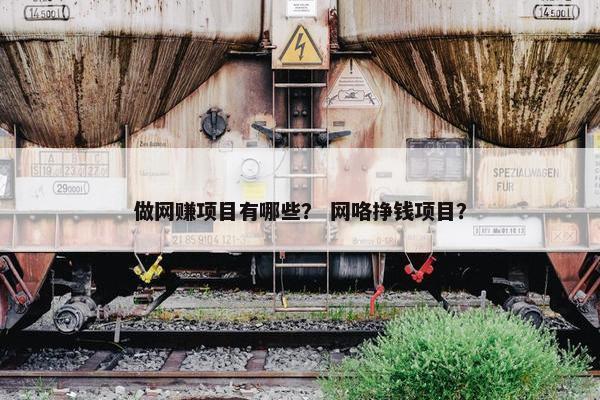 做网赚项目有哪些？ 网咯挣钱项目？