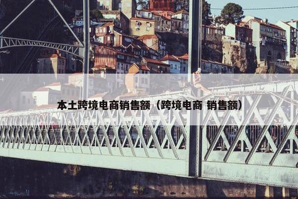 本土跨境电商销售额（跨境电商 销售额）