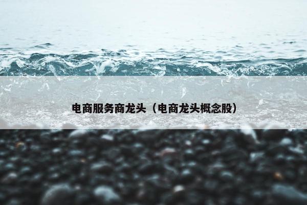 电商服务商龙头（电商龙头概念股）