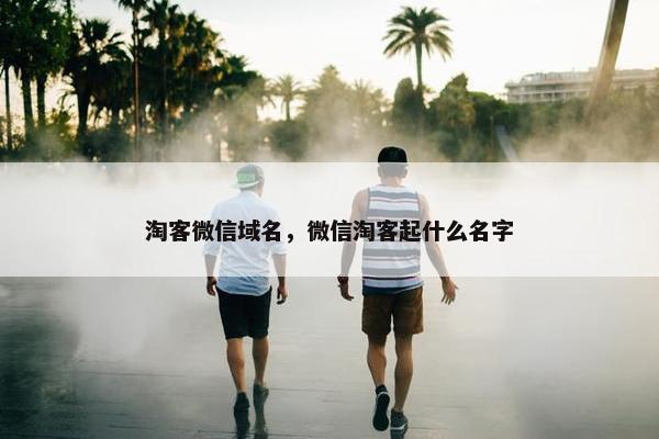 淘客微信域名，微信淘客起什么名字