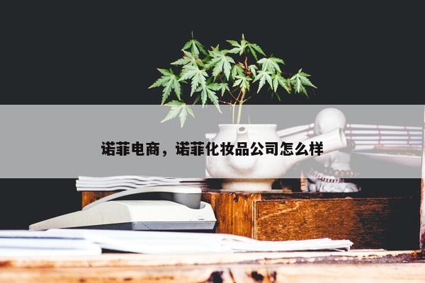 诺菲电商，诺菲化妆品公司怎么样