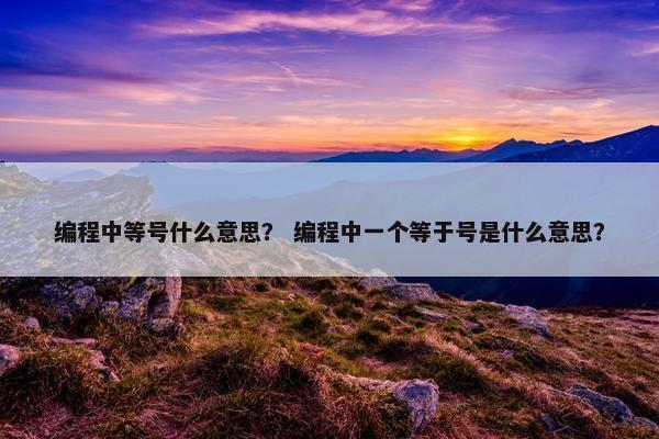 编程中等号什么意思？ 编程中一个等于号是什么意思？