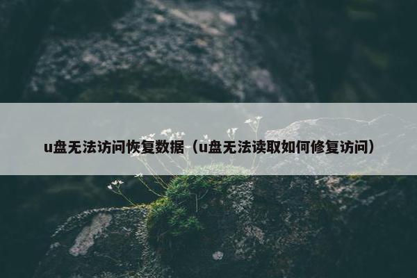u盘无法访问恢复数据（u盘无法读取如何修复访问）