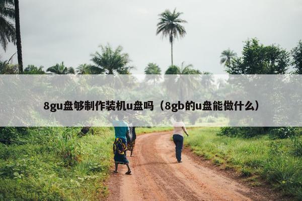 8gu盘够制作装机u盘吗（8gb的u盘能做什么）