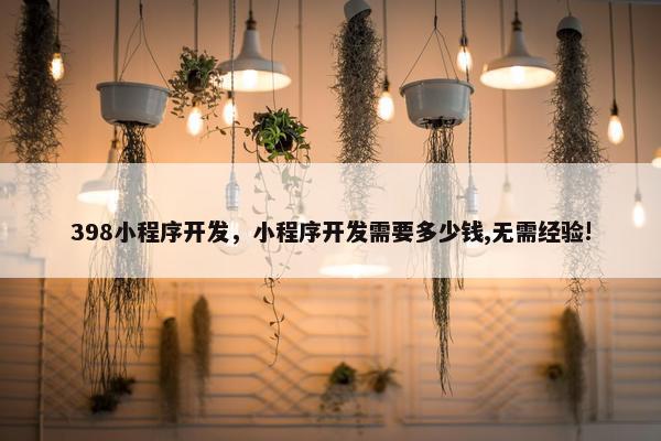 398小程序开发，小程序开发需要多少钱,无需经验!