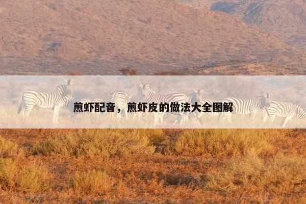 煎虾配音，煎虾皮的做法大全图解