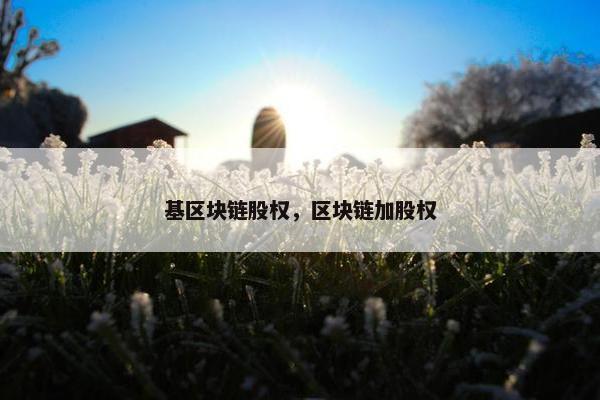 基区块链股权，区块链加股权