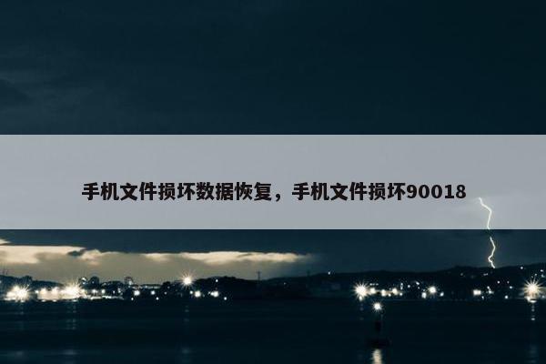 手机文件损坏数据恢复，手机文件损坏90018