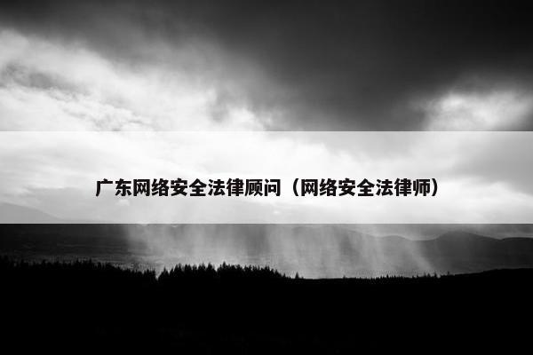 广东网络安全法律顾问（网络安全法律师）