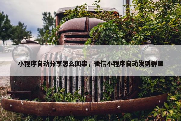小程序自动分享怎么回事，微信小程序自动发到群里