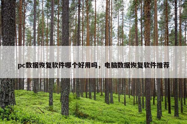 pc数据恢复软件哪个好用吗，电脑数据恢复软件推荐