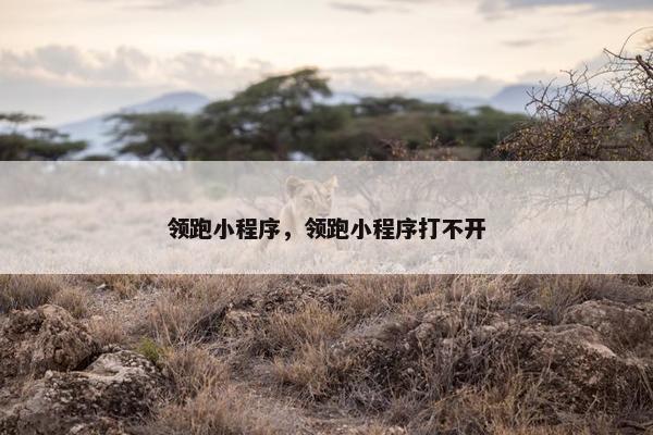 领跑小程序，领跑小程序打不开
