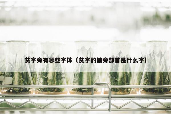贫字旁有哪些字体（贫字的偏旁部首是什么字）