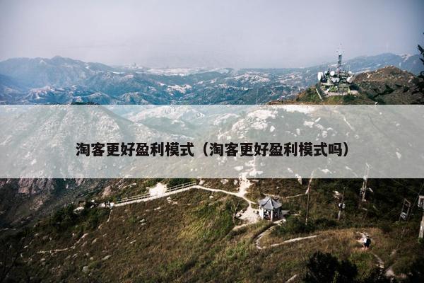 淘客更好盈利模式（淘客更好盈利模式吗）