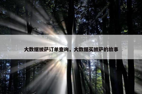 大数据披萨订单查询，大数据买披萨的故事