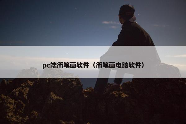 pc端简笔画软件（简笔画电脑软件）