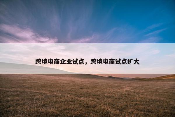 跨境电商企业试点，跨境电商试点扩大