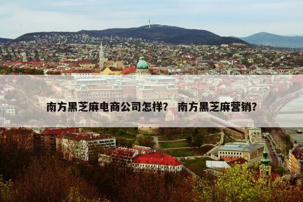 南方黑芝麻电商公司怎样？ 南方黑芝麻营销？