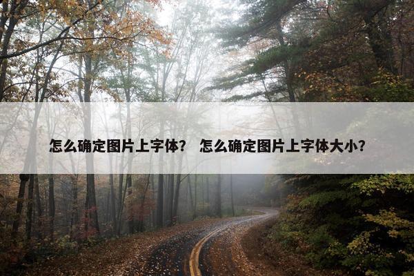 怎么确定图片上字体？ 怎么确定图片上字体大小？
