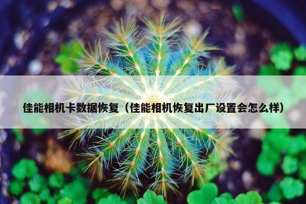 佳能相机卡数据恢复（佳能相机恢复出厂设置会怎么样）