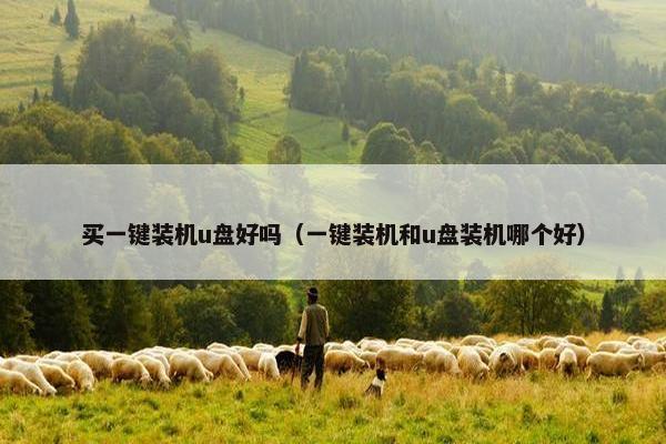 买一键装机u盘好吗（一键装机和u盘装机哪个好）