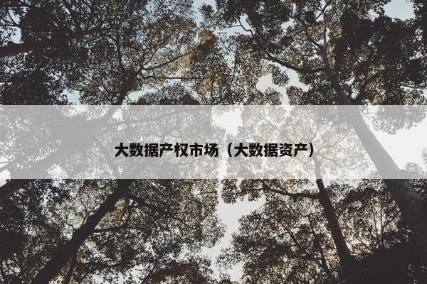 大数据产权市场（大数据资产）
