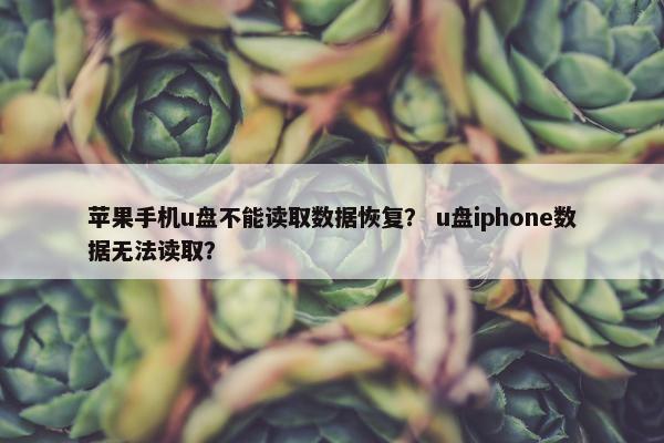 苹果手机u盘不能读取数据恢复？ u盘iphone数据无法读取？