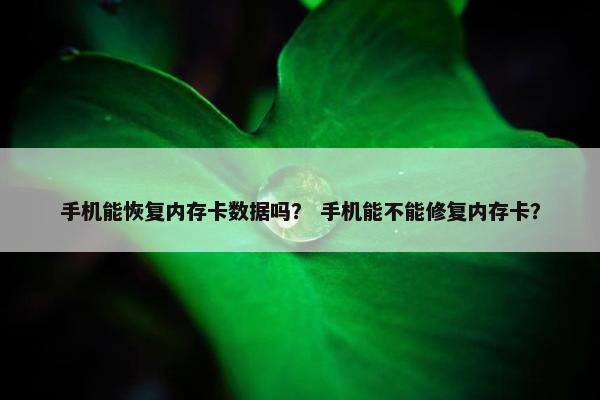 手机能恢复内存卡数据吗？ 手机能不能修复内存卡？