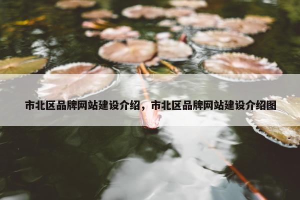 市北区品牌网站建设介绍，市北区品牌网站建设介绍图