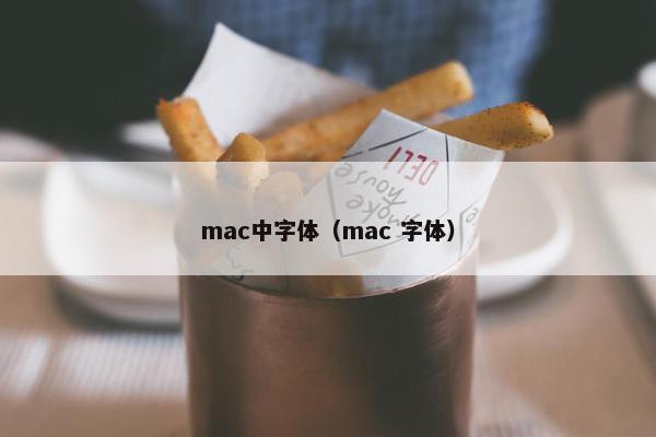 mac中字体（mac 字体）