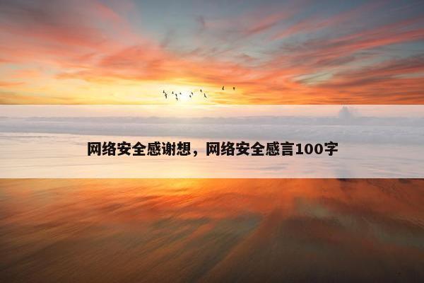 网络安全感谢想，网络安全感言100字