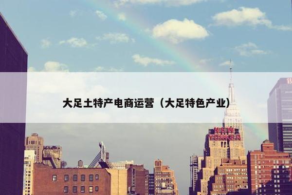 大足土特产电商运营（大足特色产业）