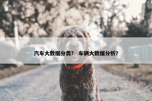 汽车大数据分类？ 车辆大数据分析？