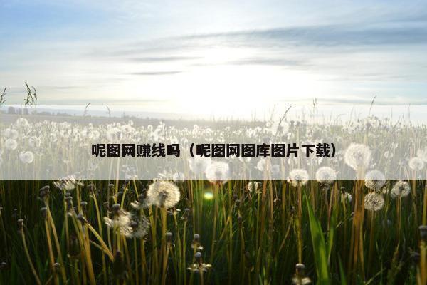 呢图网赚线吗（呢图网图库图片下载）