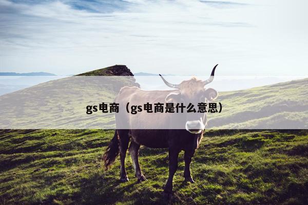 gs电商（gs电商是什么意思）